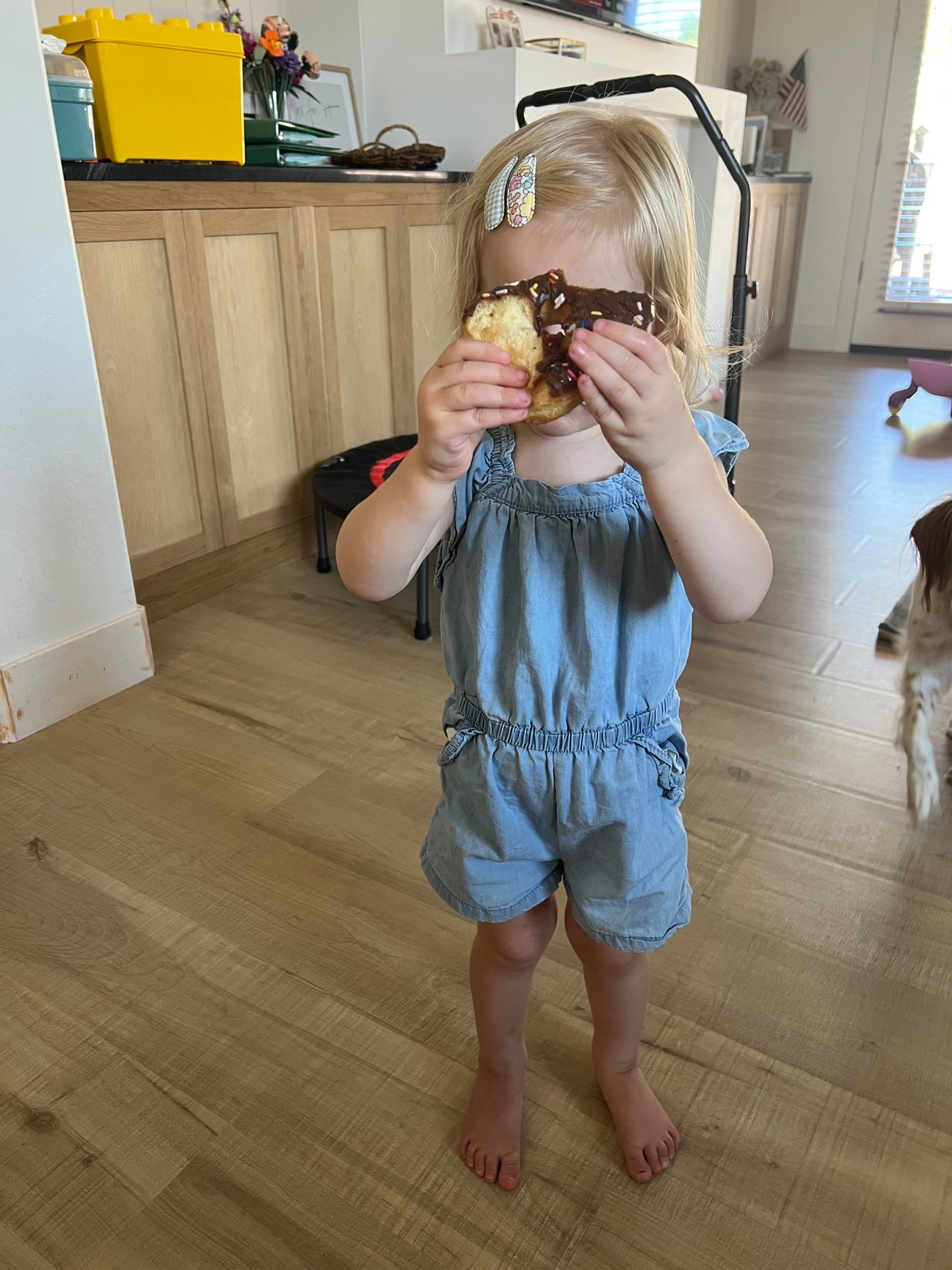 Donut day!

#LTKBaby #LTKFindsUnder50 #LTKKids