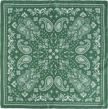 "Paisley" Silk Bandana Scarf | Nordstrom