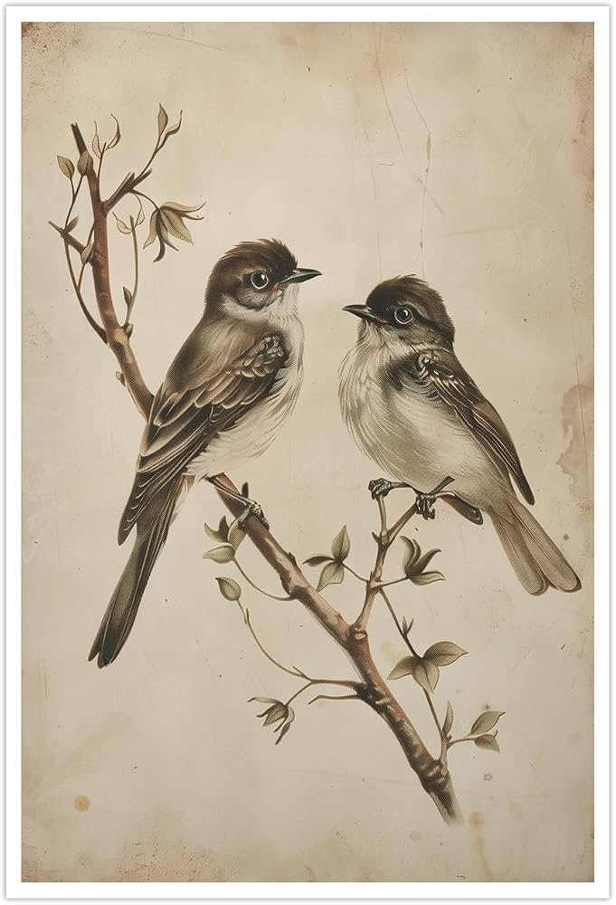 Neutral Summer Bird Wall Art, Vintage Botanical Birds Poster Minimalist Nature Decor Rustic Cotta... | Amazon (US)