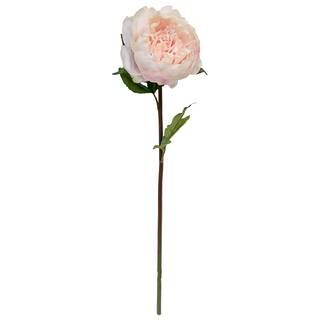 King Peony Stem By Ashland® | Michaels Stores