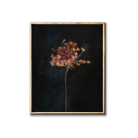 Moody floral printable wall art, Dark botanical downloadable prints | Etsy (US)