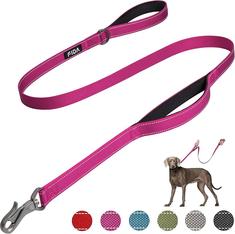 Fida 4 FT Heavy Duty Dog Leash with 2 Comfortable Padded Handles, Traffic Handle & Advanced Easy ... | Amazon (US)