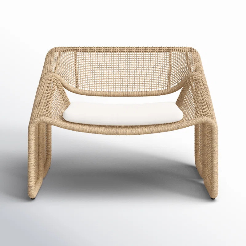 Aliza Outdoor Lounge Chair with Cushion | Joss & Main