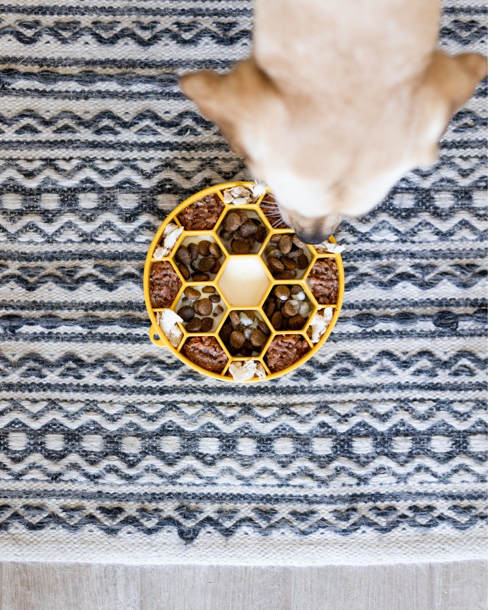I love feeding my dogs in interactive slow feeders for mental stimulation and enrichment!

#LTKHome