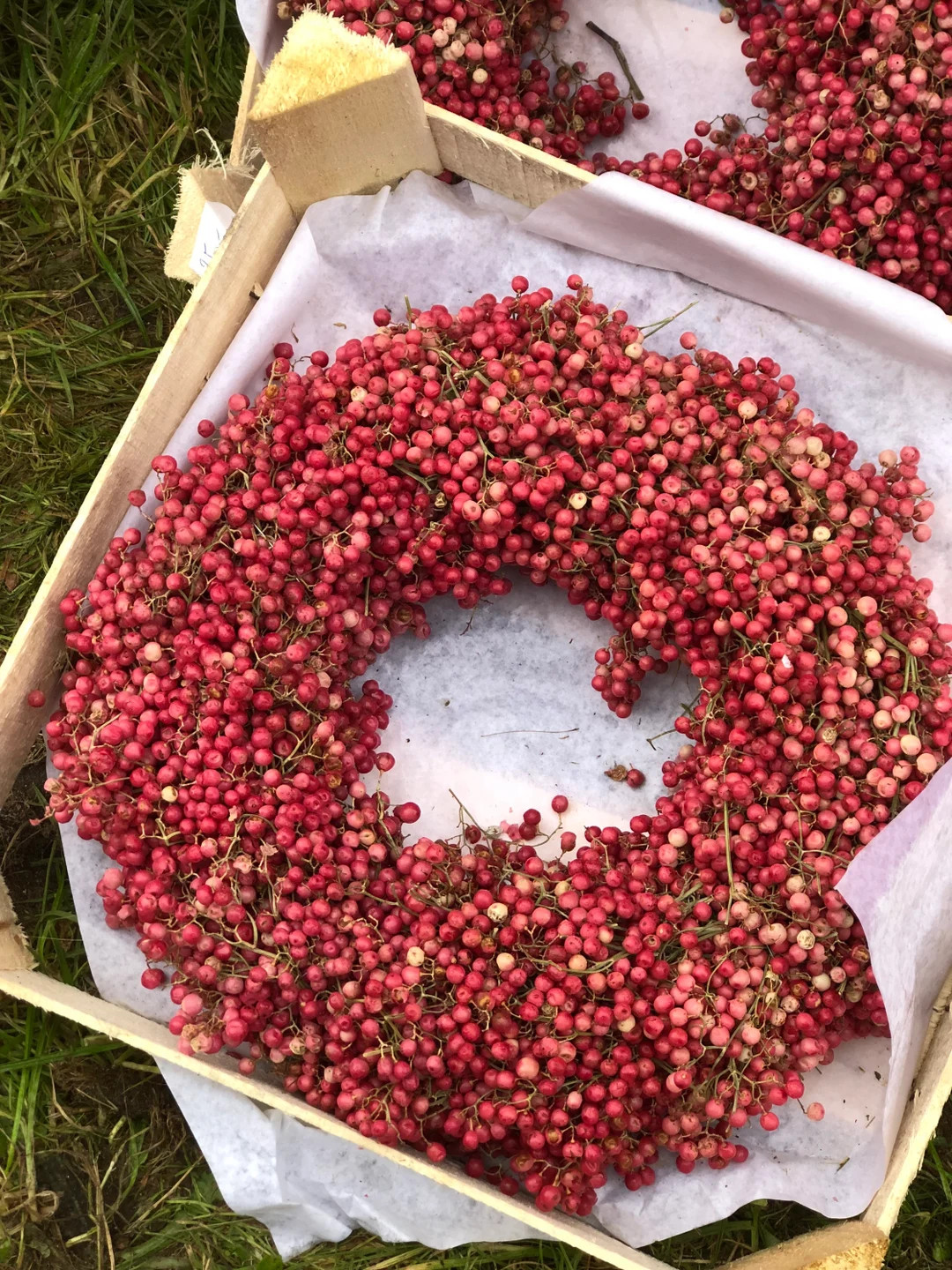Dried Pink Pepper Wreath. Approx. 25-30 Cm Wreaths Magical Natural Decoration Very Durable. - Ets... | Etsy (US)