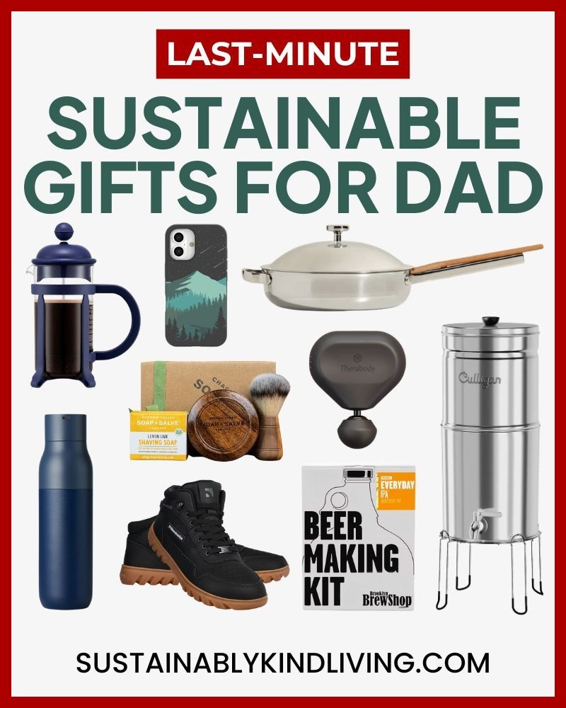 Give Dad something he’ll use every day — without the toxins or waste. 

From eco-friendly apparel to non-toxic essentials and durable upgrades, these gifts are meaningful, long-lasting, and guaranteed to impress. 

#LTKGiftGuide #LTKHoliday