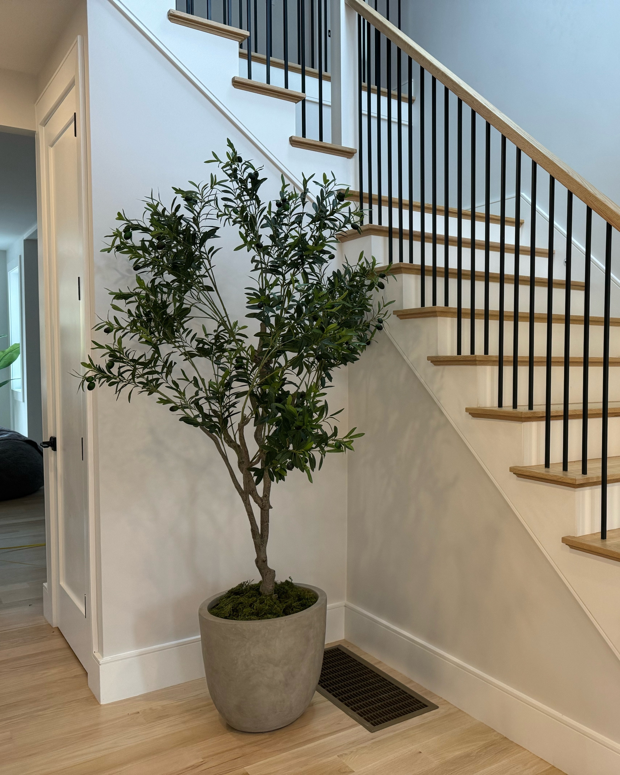 Olive tree plant decoration🏡 

#LTKHome #LTKStyleTip #LTKGiftGuide
