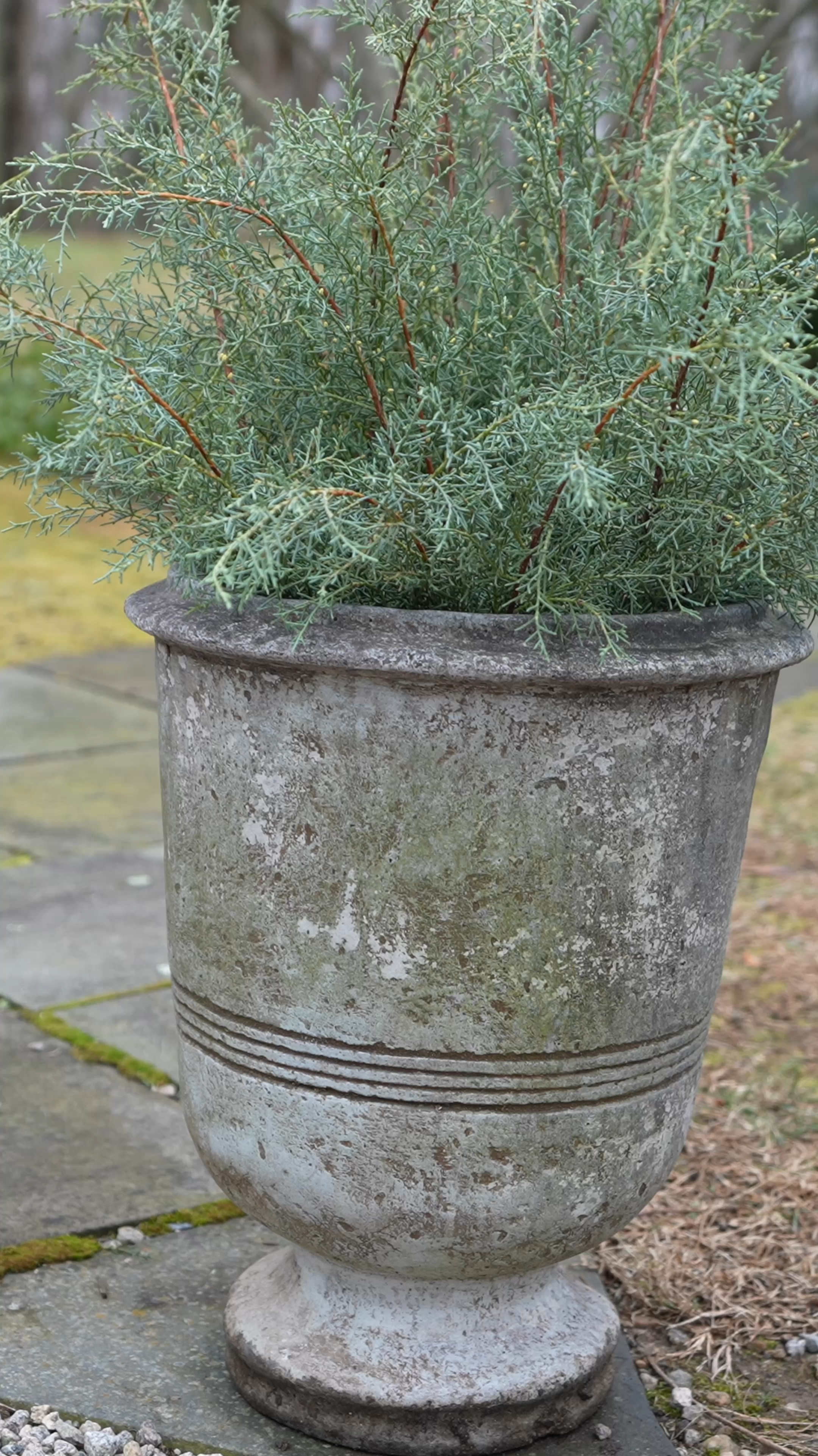 In the spirit at the #AGHCountryHouse ❤️