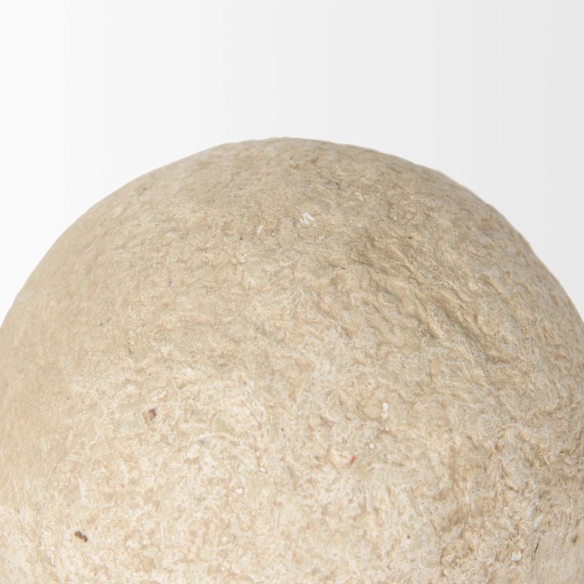 17 Stories Geniyah Vase Filler & Reviews | Wayfair | Wayfair North America