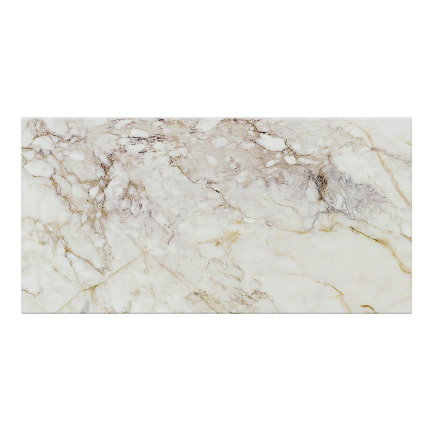 Venataro 24x48 Polished Natural Stone/ Marble Large Format Porcelain Floor and Wall Tile | Wayfair North America