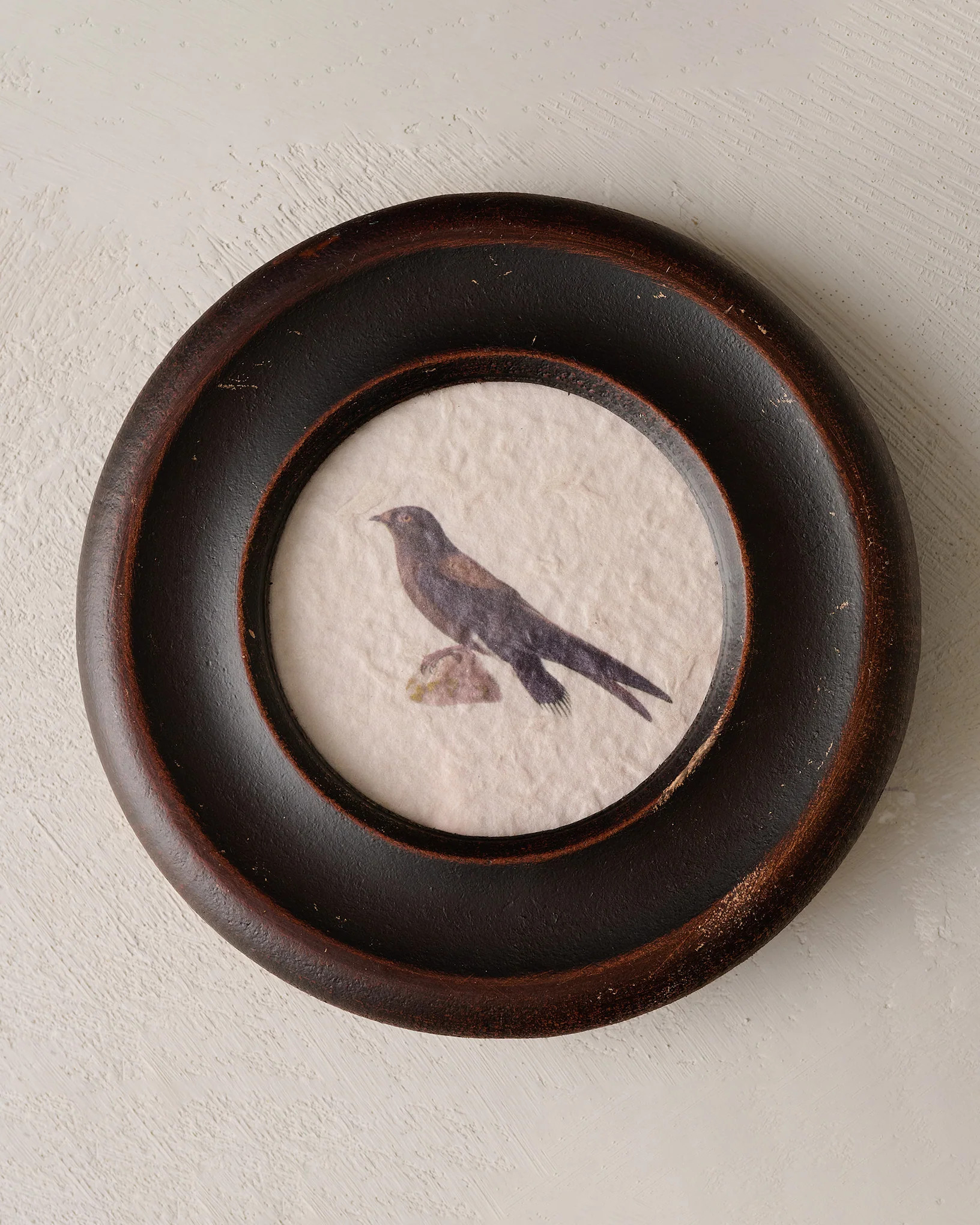 Vintage Framed Bird Print | Magnolia