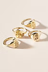 Claus Wildflower Signet Ring | Anthropologie (US)