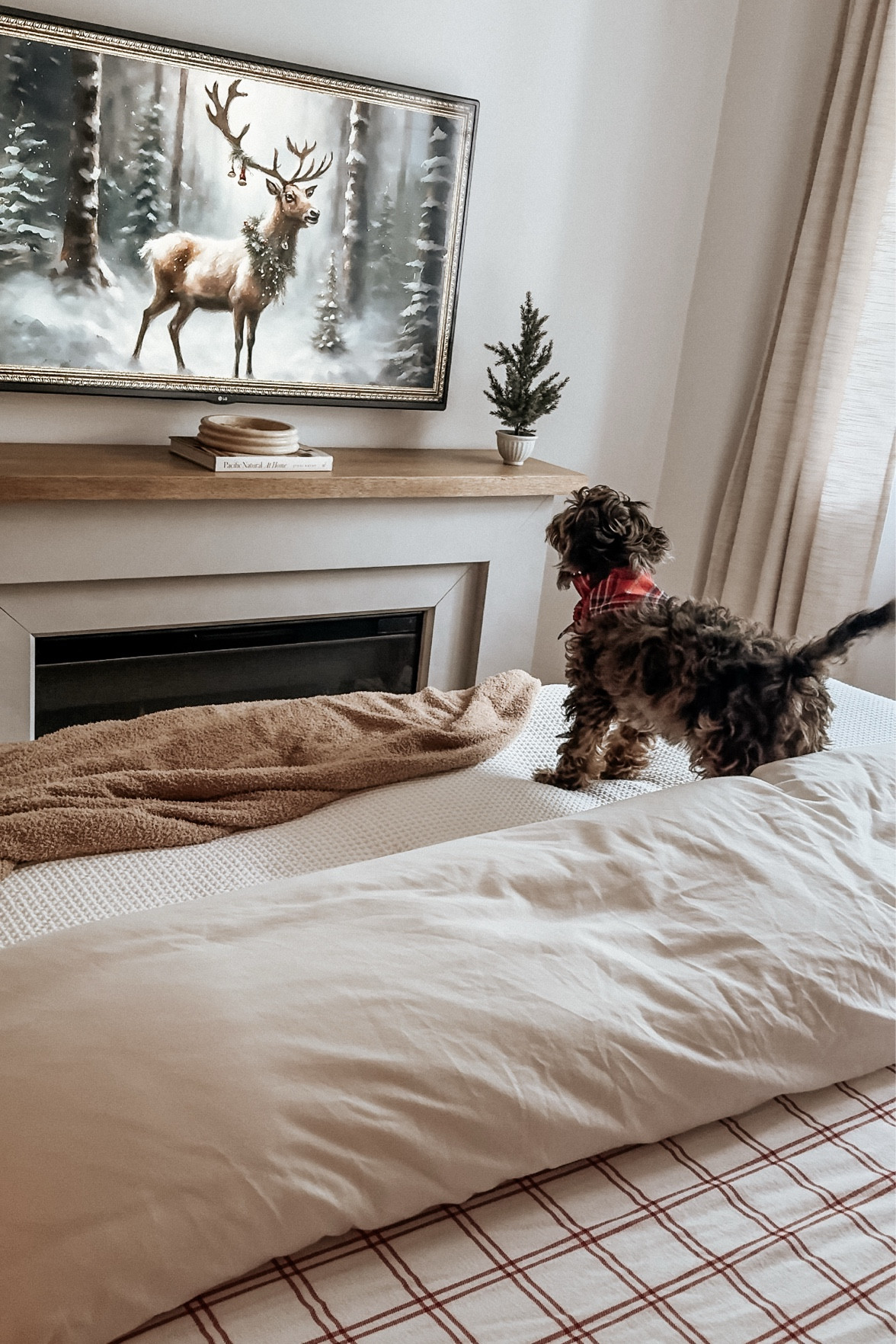 Cozy bedroom view 

#LTKSeasonal #LTKHoliday #LTKHome