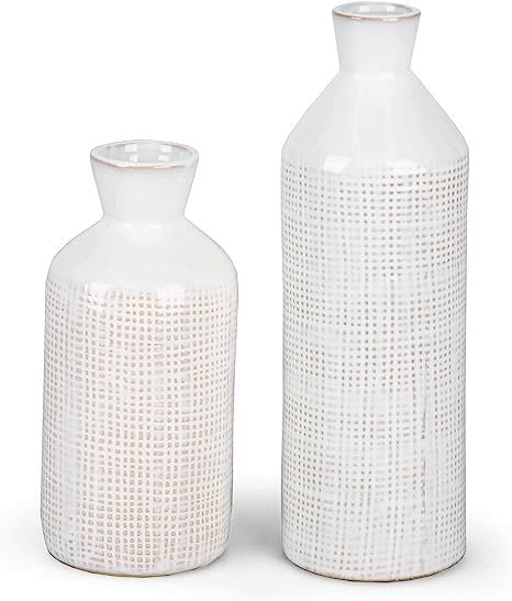 TERESA'S COLLECTIONS White Ceramic Vase for Home Decor, Farmhouse Decorative Vase Set for Pampas ... | Amazon (US)
