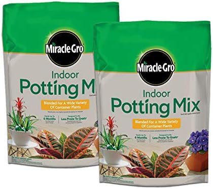 Miracle-Gro Indoor Potting Mix 6 qt., Grows beautiful Houseplants, 2-Pack | Amazon (US)