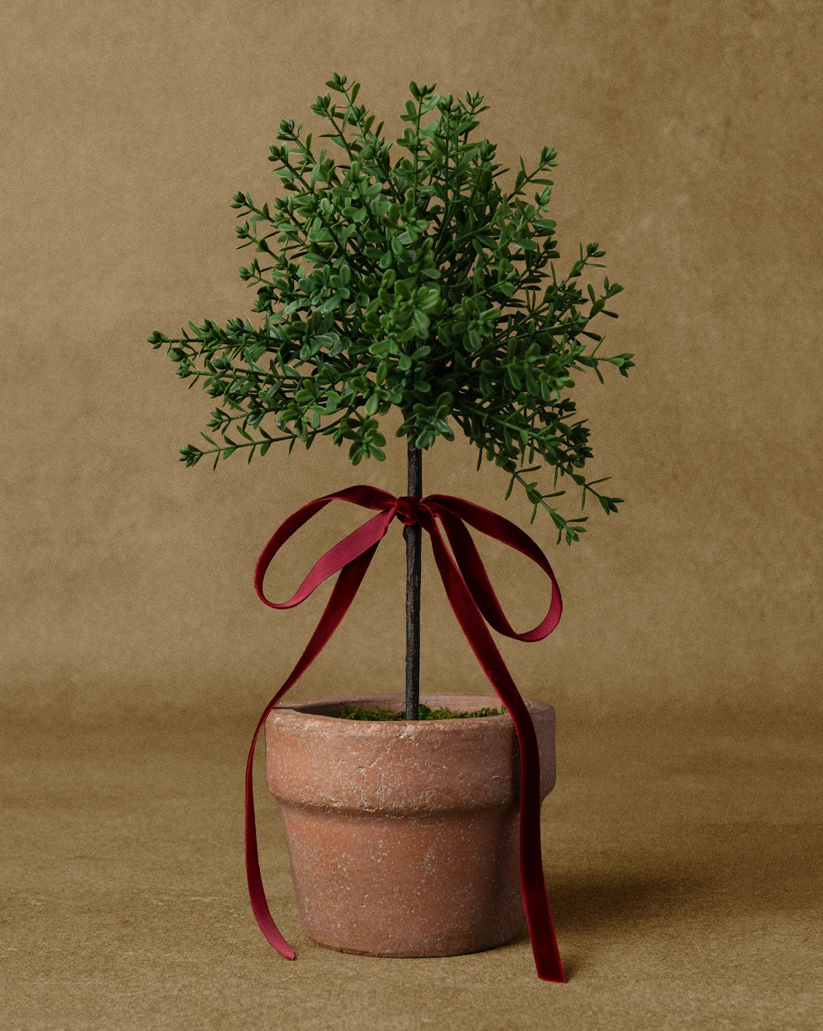 Myrtle Topiary with Red Bow | McGee & Co. (US)