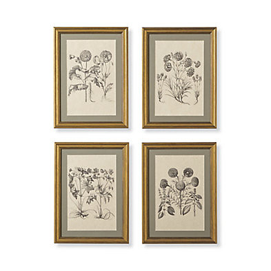 New York Botanical Garden Merian Botanicals | Frontgate