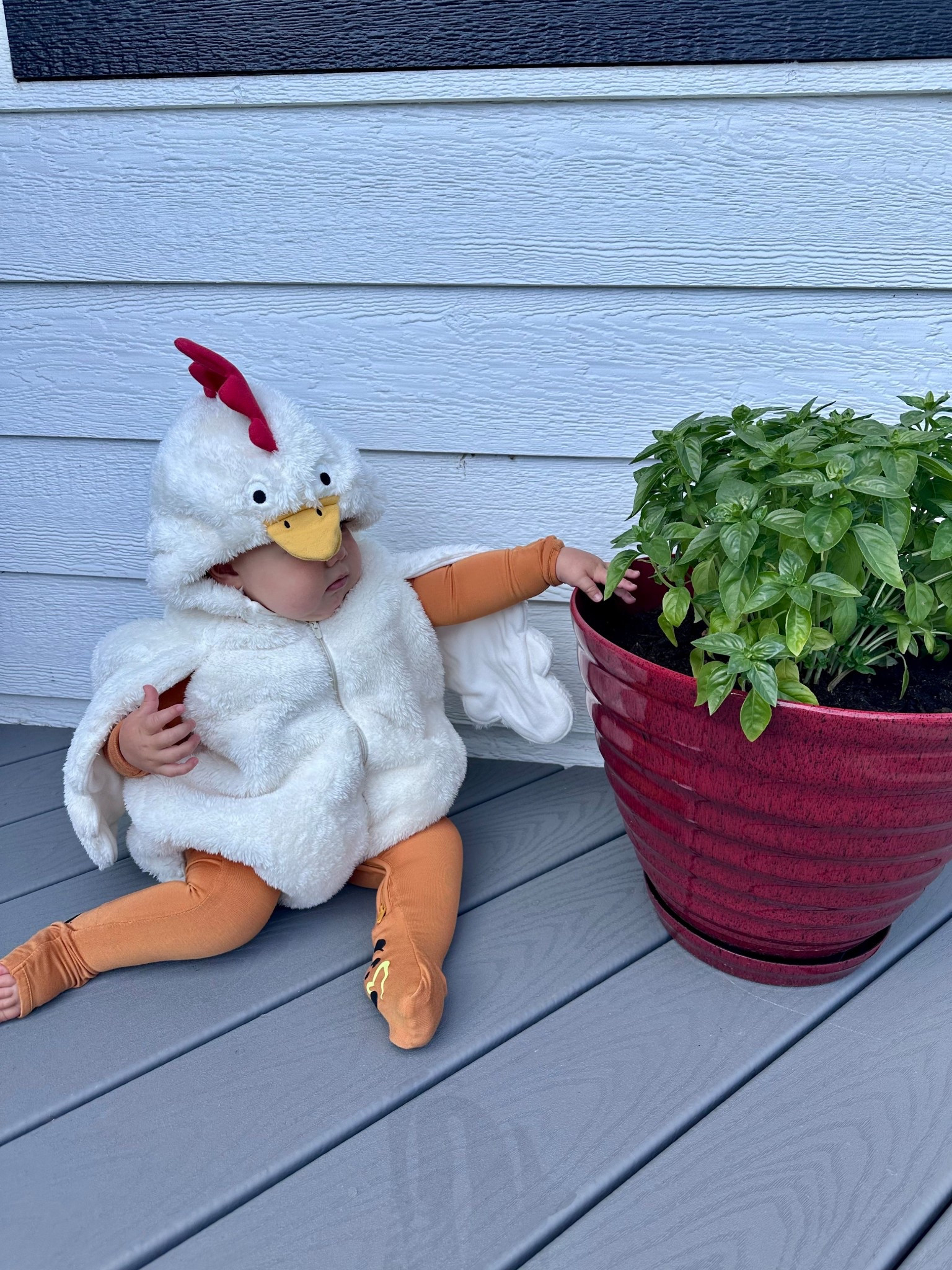 The cutest lil free-range chick 🐥✨ My 13-month-old is rocking the sweetest Baby 2-Piece Chicken Halloween Costume, layered with an orange bamboo zippie for cozy fall style 🍂. Perfect for baby’s first Halloween, family costume inspo, and all the cozy fall vibes 🎃👩‍🌾 #LTKBaby #LTKFamily #LTKSeasonal #HalloweenCostumes #BabyCostumeIdeas #FallFavorites #SpookySeason #MomAndMeStyle #CuteBabyCostumes #CozyFallVibes

#LTKKids #LTKSeasonal #LTKBaby