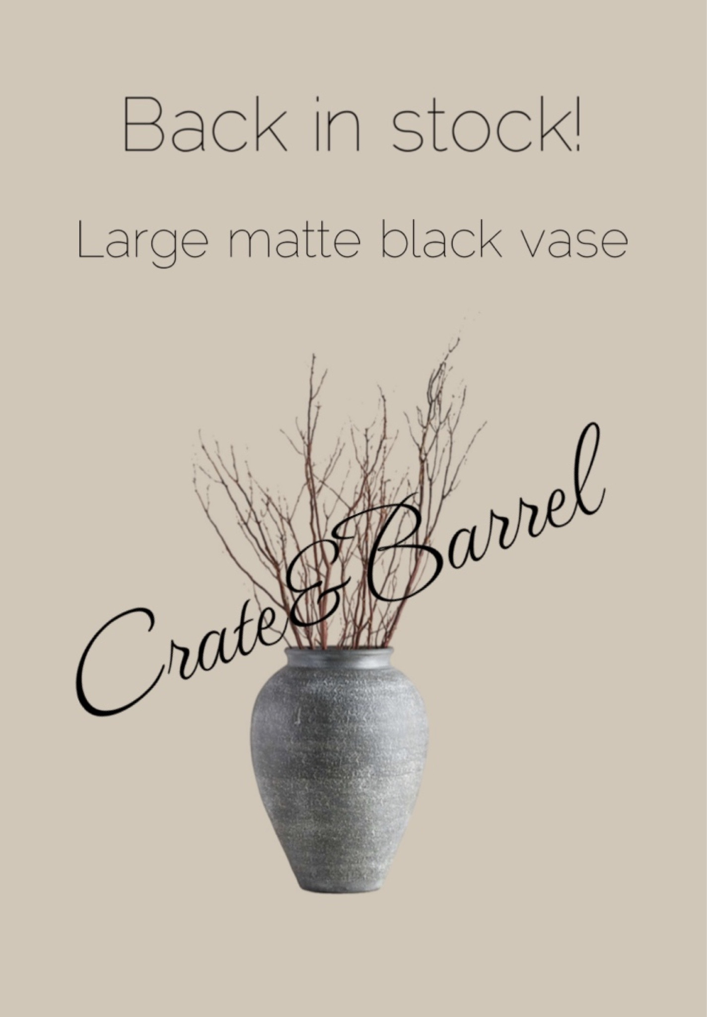 Large black vase! 

#LTKstyletip #LTKsalealert #LTKunder100