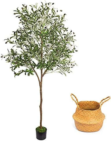 Artificial Olive Tree, 6ft Faux Olive Tree Plant with Woven Planter and Moss, Realistic Olive Bra... | Amazon (US)