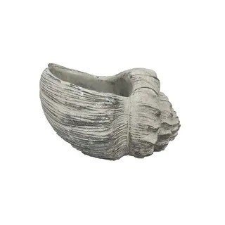 10" Cement Conch Planter | Bed Bath & Beyond