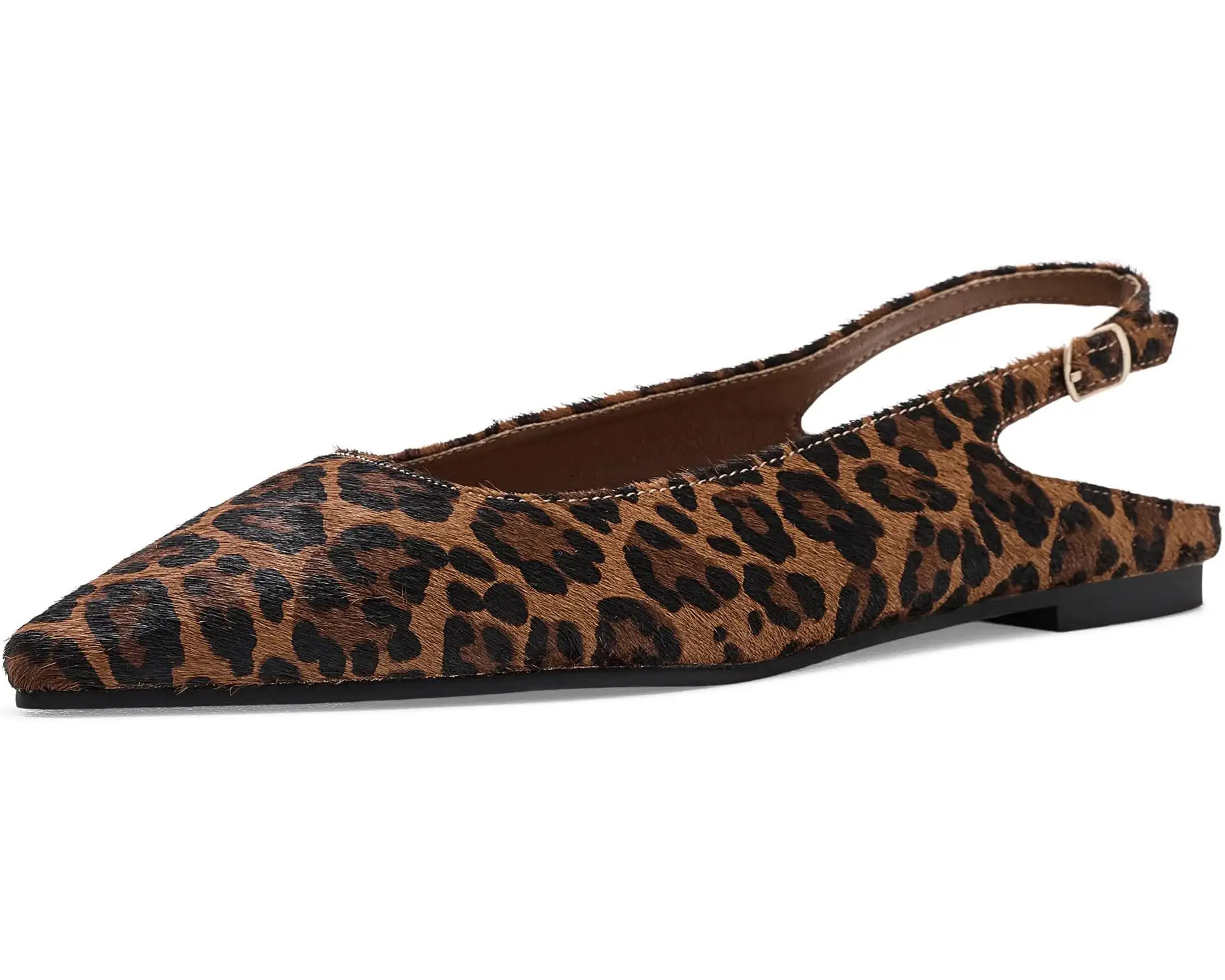 Women's Seychelles Alameda Pony | Zappos.com