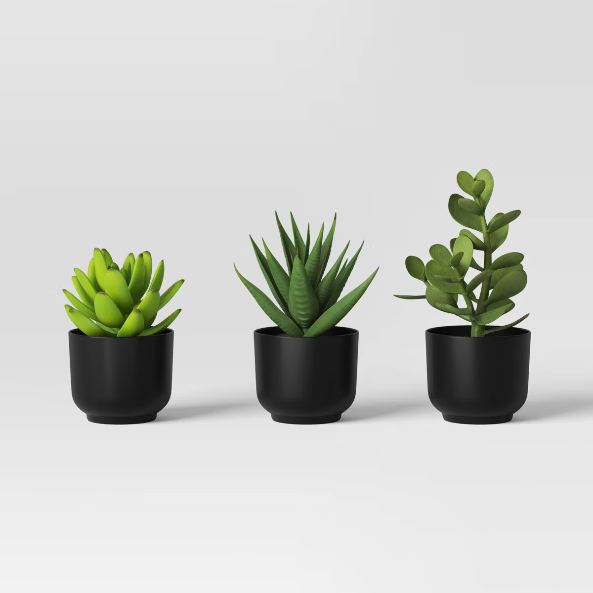 Succulent Artificial in Black Pot - Room Essentials™ | Target