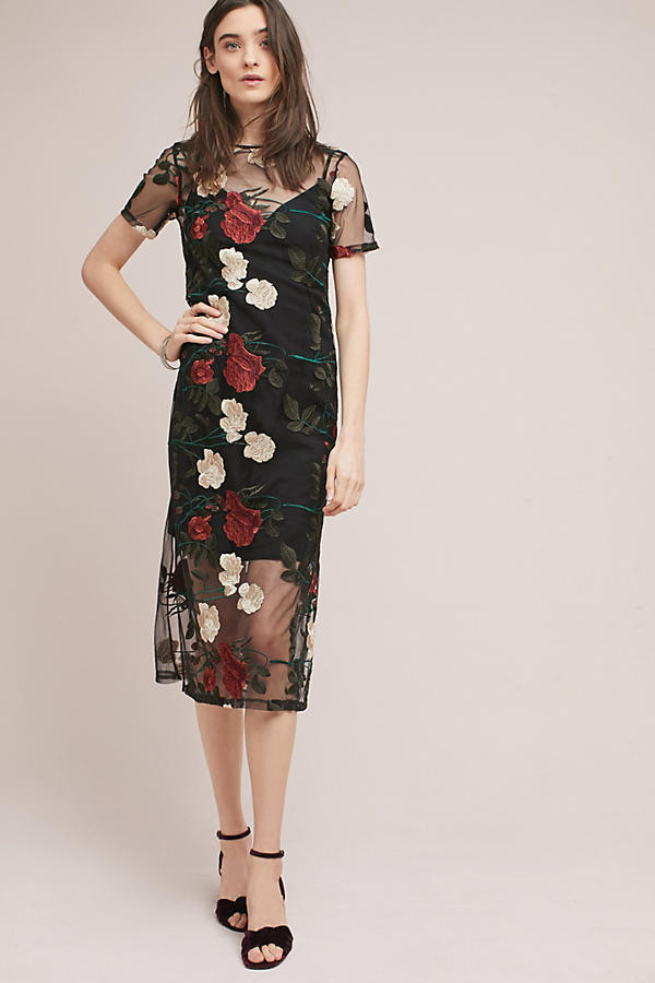 Floral Embroidered Midi Dress | Anthropologie (US)