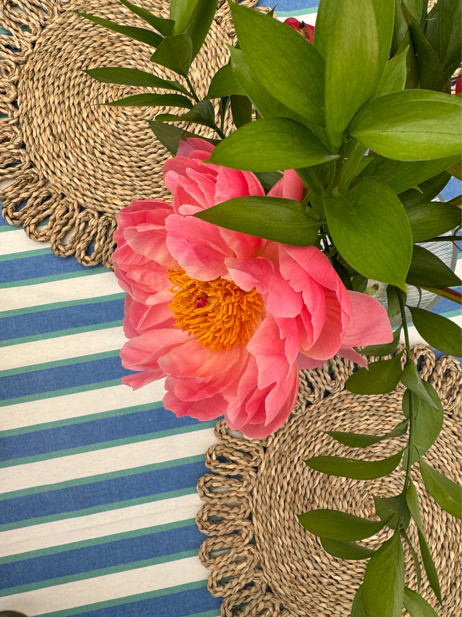 Backyard BBQ set up!

#LTKSeasonal #LTKHome