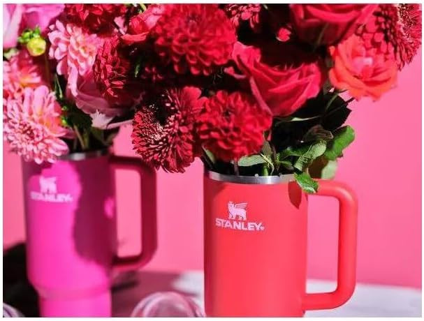 STANLEY 40 oz. Quencher H2.0 FlowState Tumbler - Valentine's Day Red | Amazon (US)