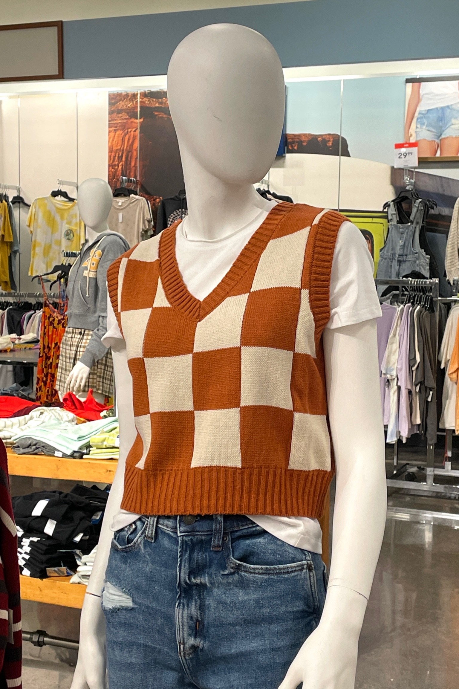 #checker #plaid #sweatervest #vneck #vnecksweatervest #cropsweatervest #nerdy #preopy #sleeveless #layering #cosplay #costume 

#LTKGiftGuide #LTKstyletip
