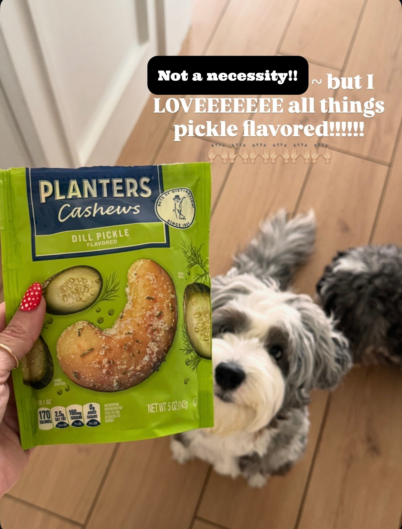 Obsessed with all things pickle flavored!! Haaaa