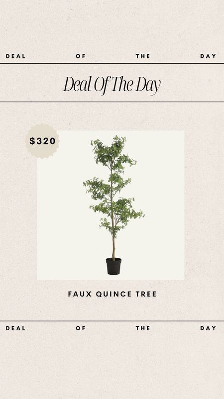 Deal of the Day - Faux Quince Tree // on sale for $320! 

faux tree, faux stems, faux greenery, spring greenery, spring finds, spring favorites, living room tree, living room inspo, deal of the day, budget friendly, affordable faux tree

#LTKhome #LTKsalealert