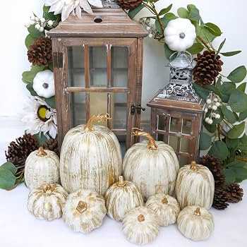 Winlyn 10 Pcs Assorted Fall Artificial Pumpkins Gold Brushed White Pumpkins Decorative Pumpkins F... | Amazon (US)