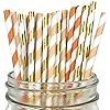 Just Artifacts Assorted Decorative Striped Paper Straws 100pcs - Orange/Apricot/Metallic Gold Str... | Amazon (US)