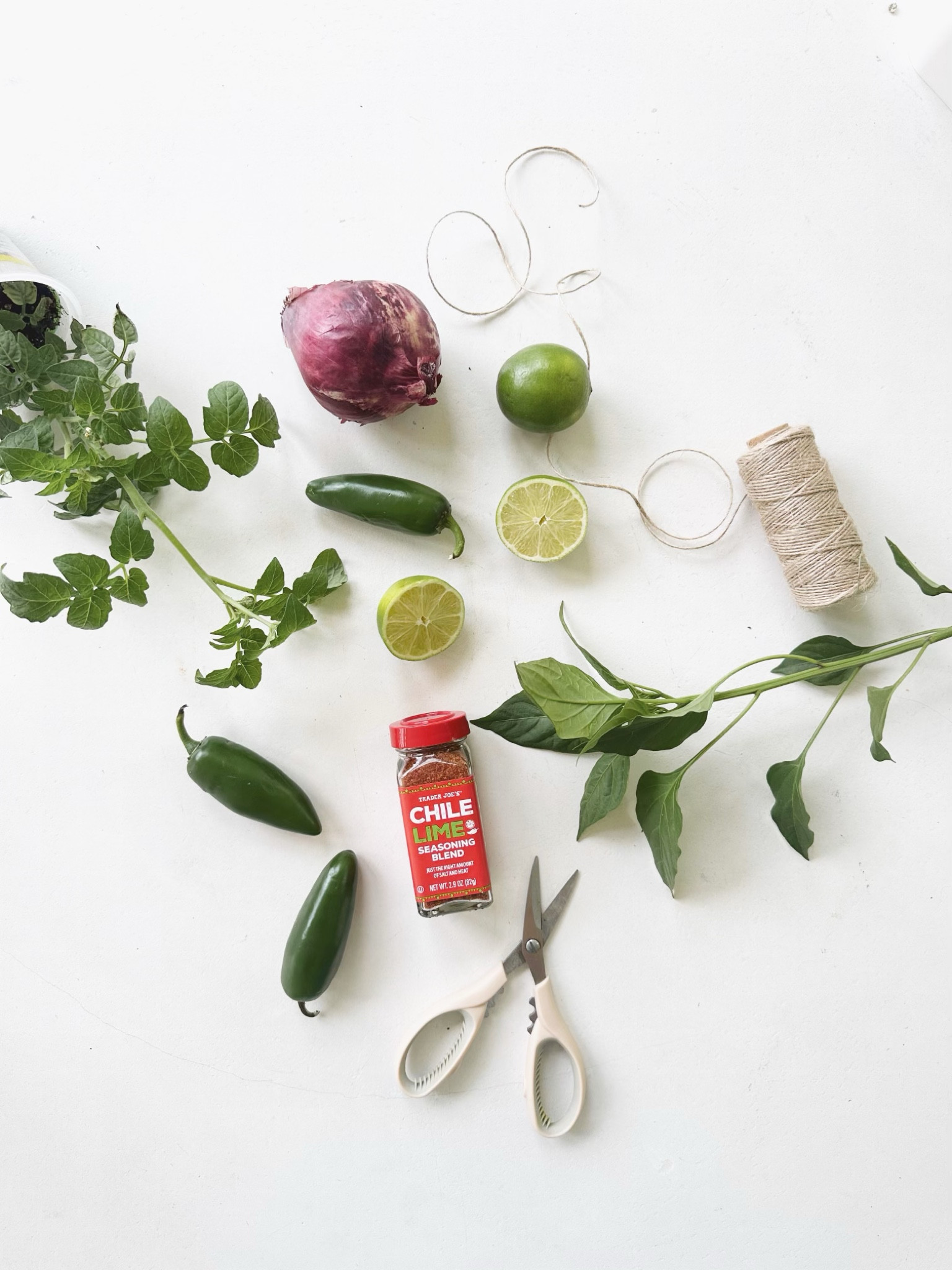 This one is perfect for summer. It's a useful and creative gift to walk in with. I feel like everyone is a salsa fan, so why not give it and let your friends try out their green thumb. I like to include a tomato, jalapeño and cilantro starter plant, an onion a few limes and your favorite chili lime seasoning 🌶️

#LTKFind #LTKunder50 #LTKstyletip