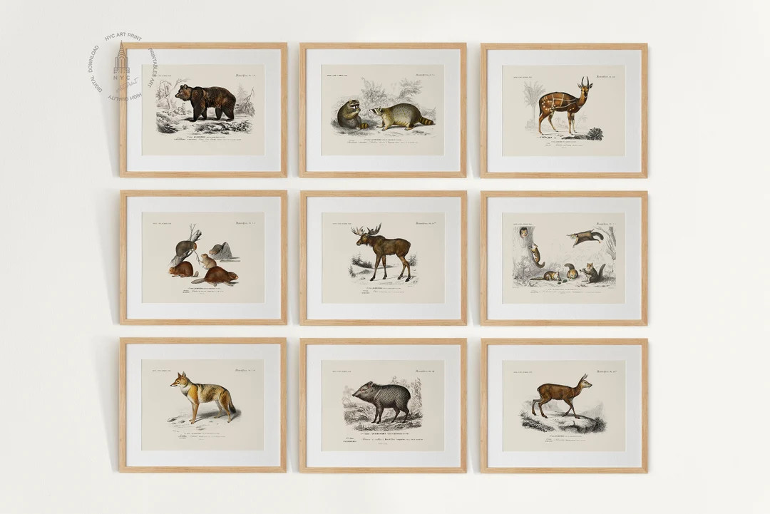 Woodland Animal Gallery Wall Set of 9, Woodland Nursery Art Prints, Vintage Animal Painting, Anim... | Etsy (US)