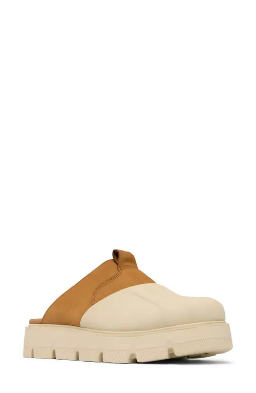 SOREL Rein CB™ Clog in Bleached Ceramic/Canyon Gold at Nordstrom, Size 8.5 | Nordstrom