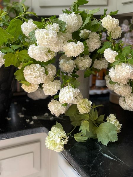 Faux so good they look real…stem on the bottom is artificial from Afloral and up top are the real Viburnum! 

Faux flowers, artificial flowers, hydrangea, snowball hydrangea, spring flower, home decor 

#LTKunder50 #LTKFind #LTKhome