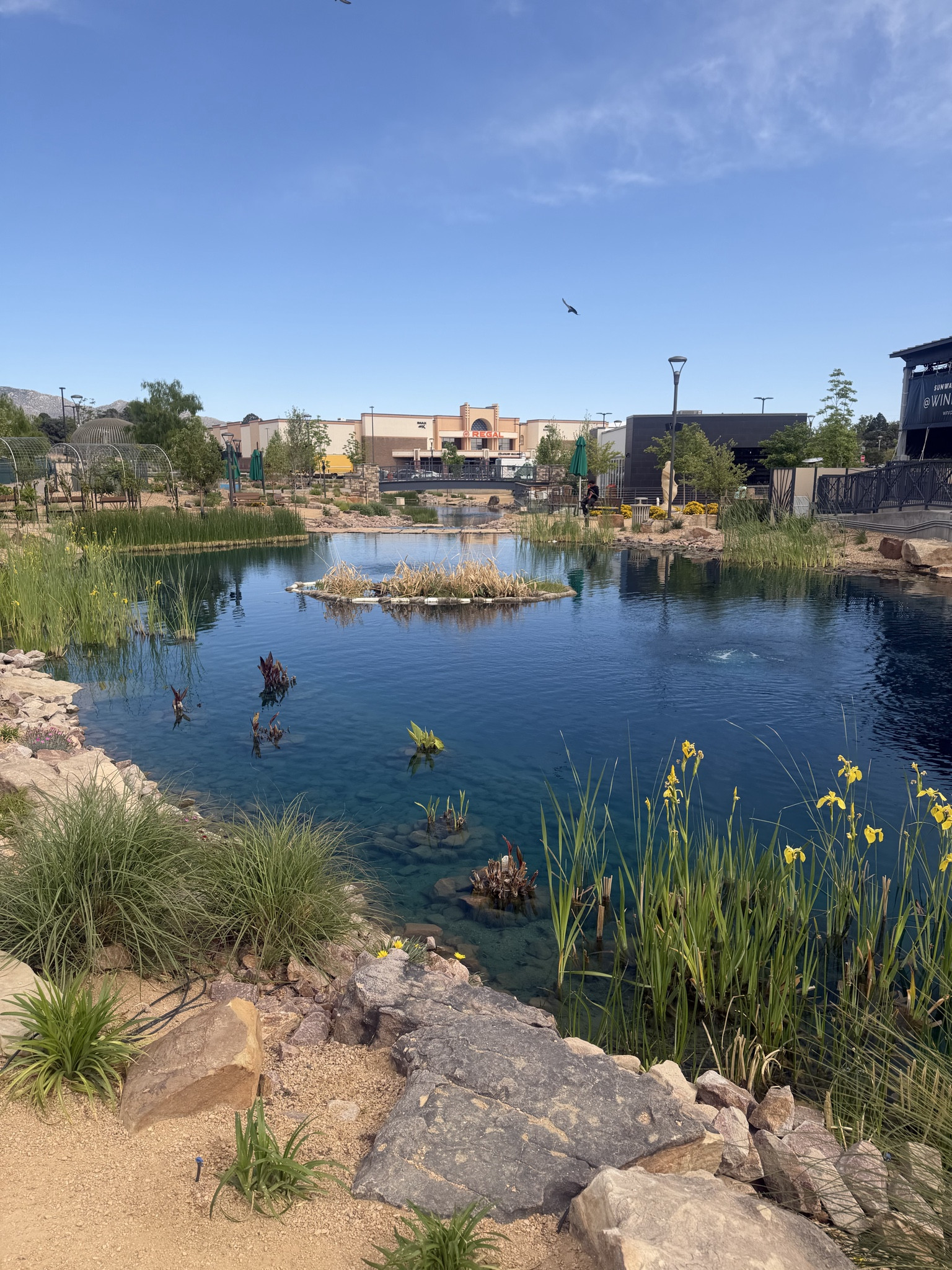 Sometimes it’s the small moments in life that make you who you’re destined to be!