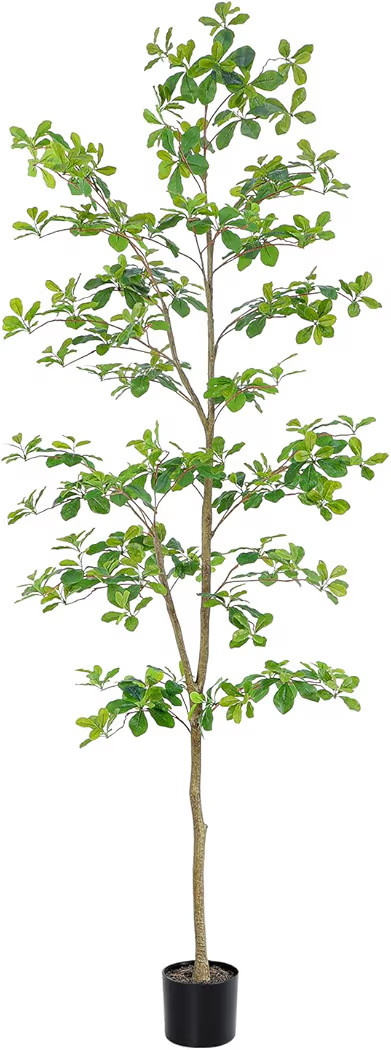 Bellacat Faux Black Olive Tree 7ft, Tall Faux Trees Indoor with Natural Trunk and Realistic Leave... | Amazon (US)