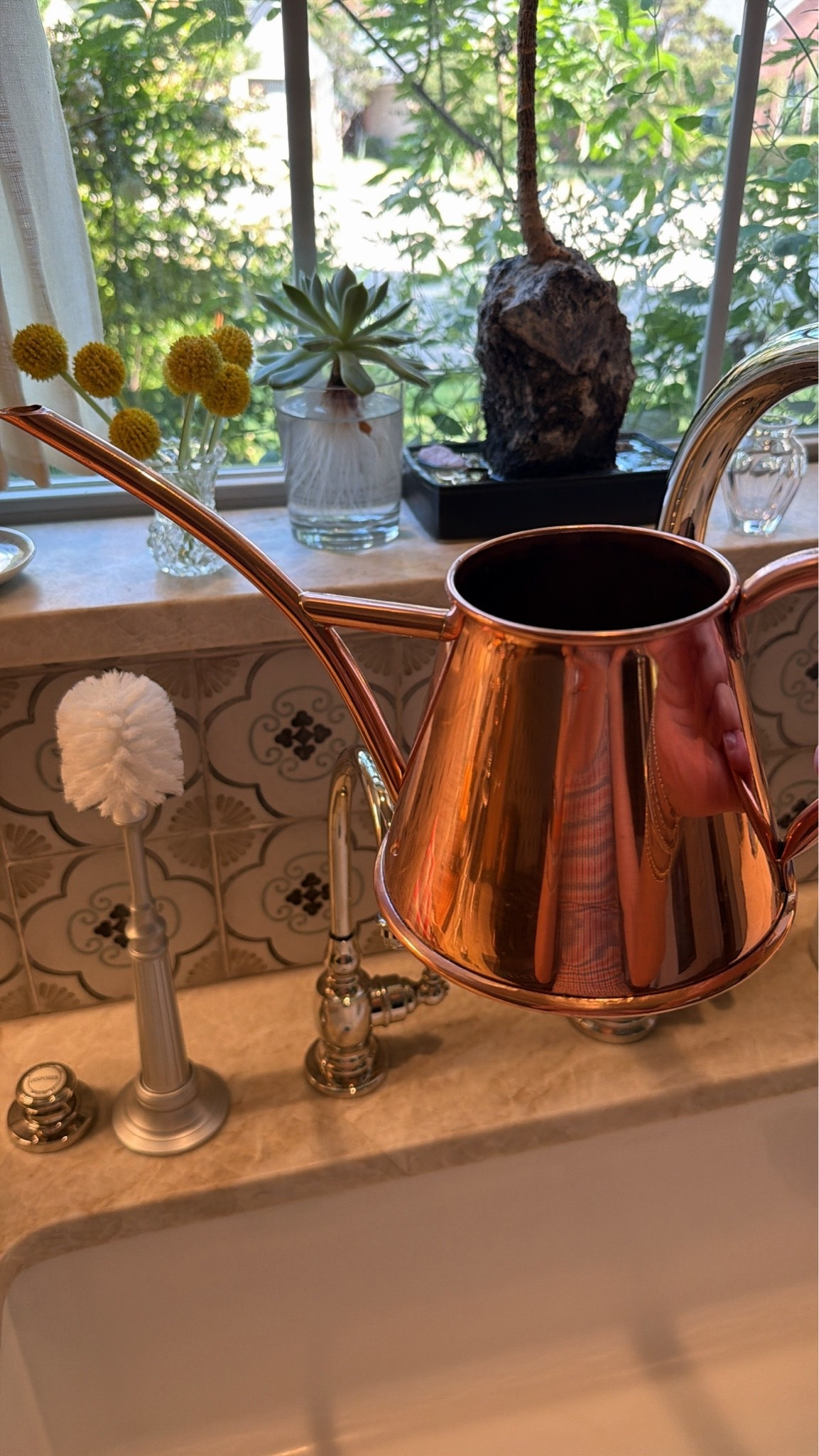 makes for easy watering 🌱

#plants #gardening

#LTKHome #LTKdayinmylife