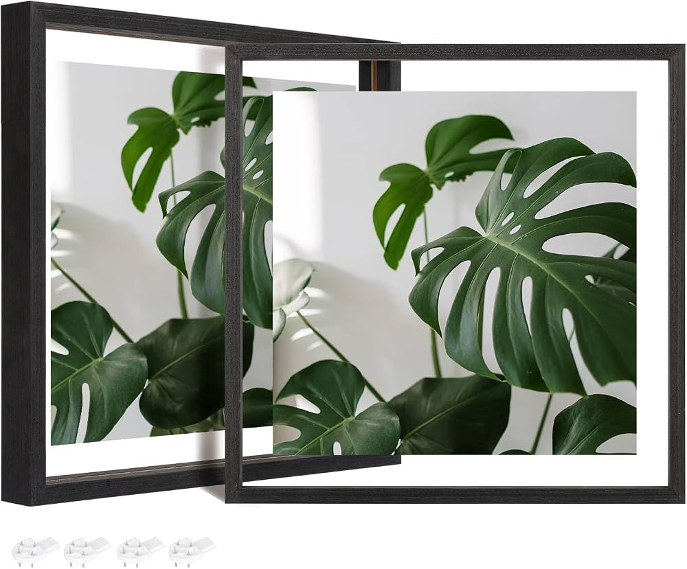 Egofine 12x12 Floating Frames Set of 2, Double Glass Picture Frame, Made of Solid Wood Display An... | Amazon (US)
