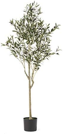 Christopher Knight Home Regina Artificial Olive Tree, 5' x 2', Green + Black | Amazon (US)