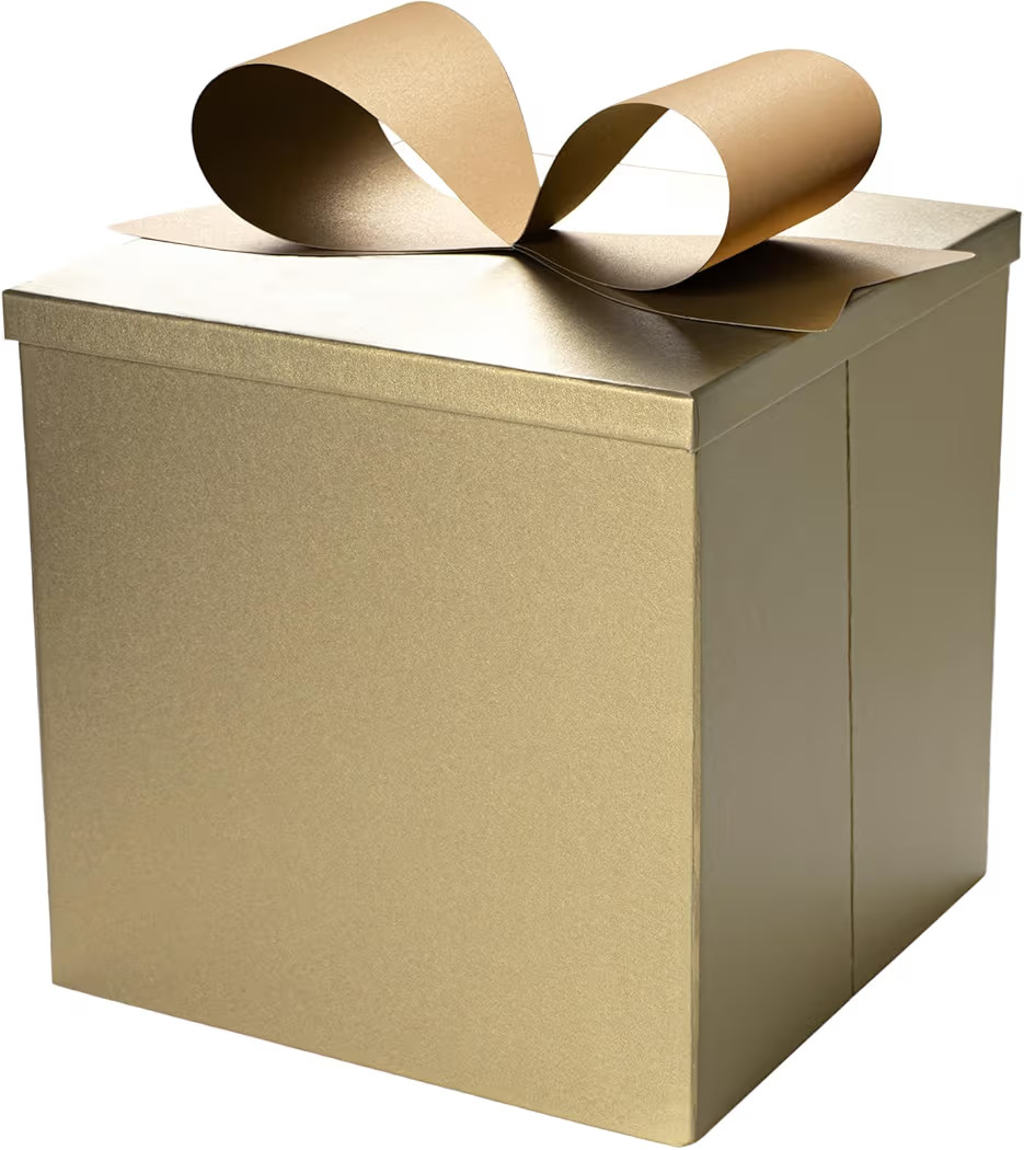 BIOBROWN Medium Gift Boxes with Lids for Presents, 9x9x9 Inches Gold Collapsible Gift Box for Chr... | Amazon (US)