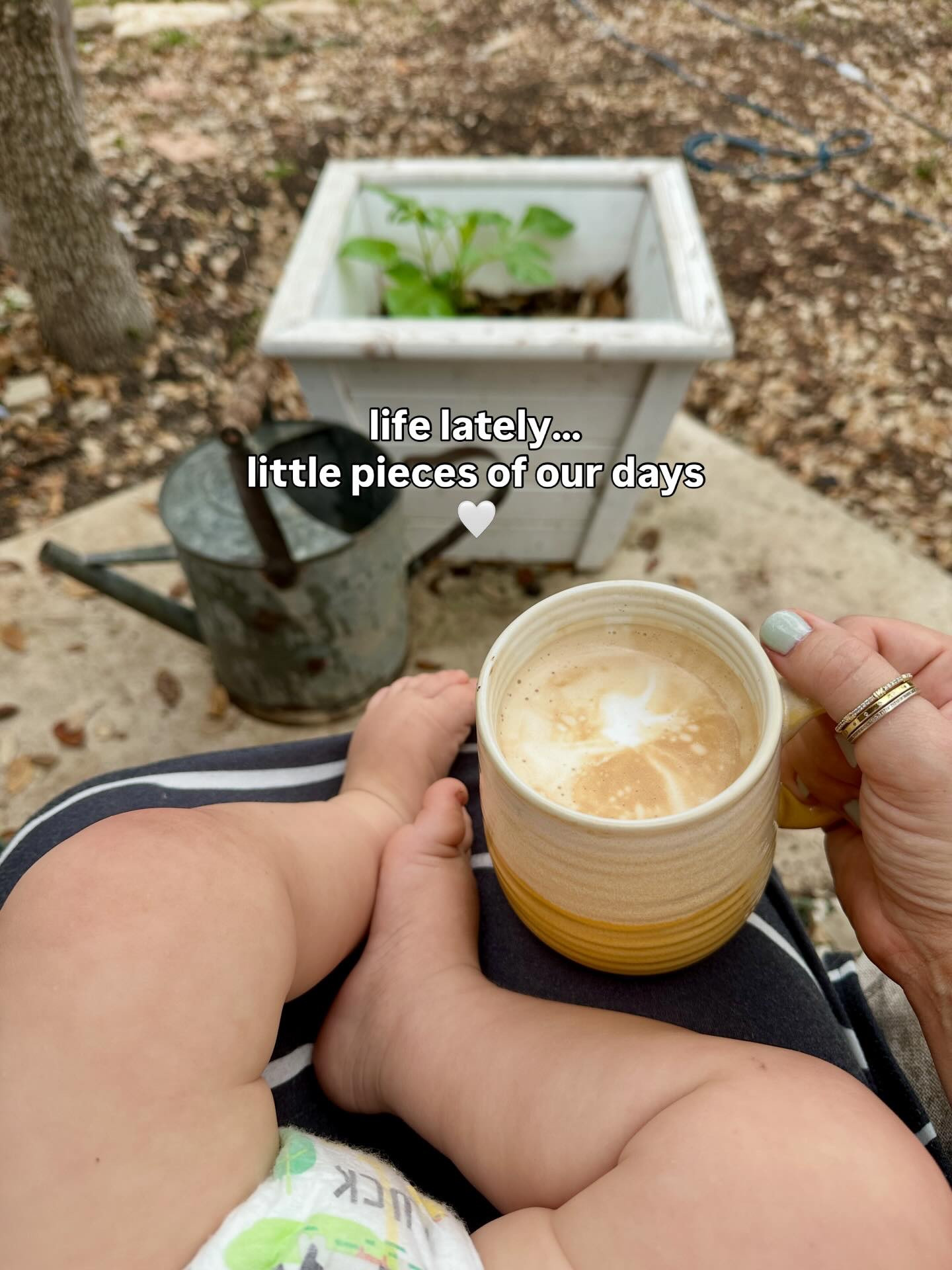 It may not officially be spring yet, but it sure feels like it in Texas.

Things have started blooming, the weather has been beautiful, and we’ve been spending as much time outside as we can.

Just a little glimpse of pieces of our days lately.

These ordinary days end up being the ones we remember most. 🤍

Which little moment would you pick?

1️⃣ Coffee outside
2️⃣ Garden discoveries
3️⃣ Kids playing outside
4️⃣ A trip to the garden center

#motherhoodthroughinstagram #lifelately #romanticizeyourlife #springvibes🌸 #gardenvibes

#LTKmomlife #LTKHome #LTKSeasonal