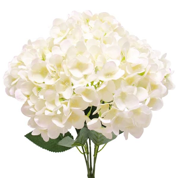 Elegant Hydrangea Bushes | Wayfair North America