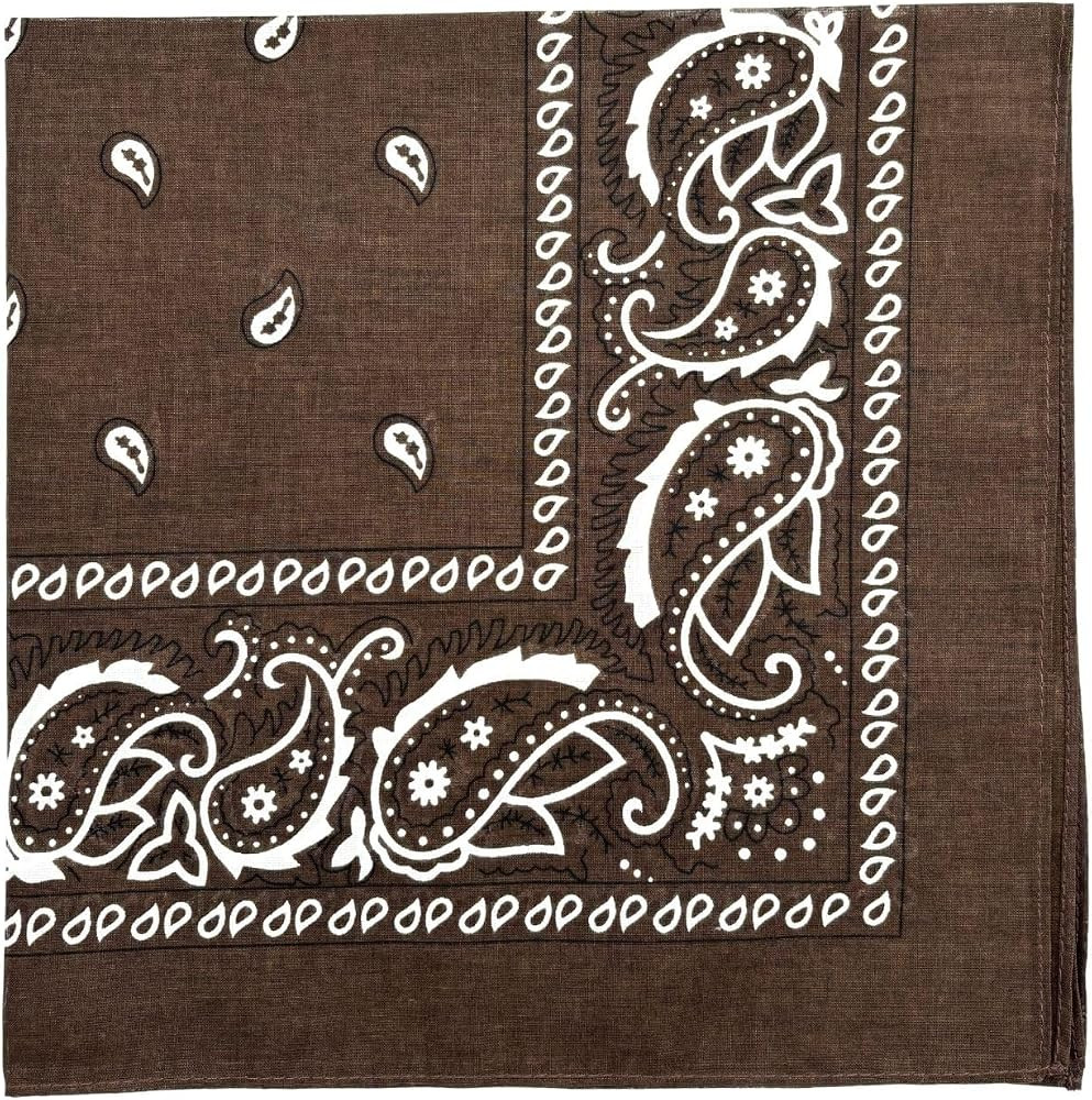 MDSTYLE 100% Cotton Bandana for Men & Women 22" x 22" Paisley Pattern Handkerchief Headband Scarf | Amazon (US)
