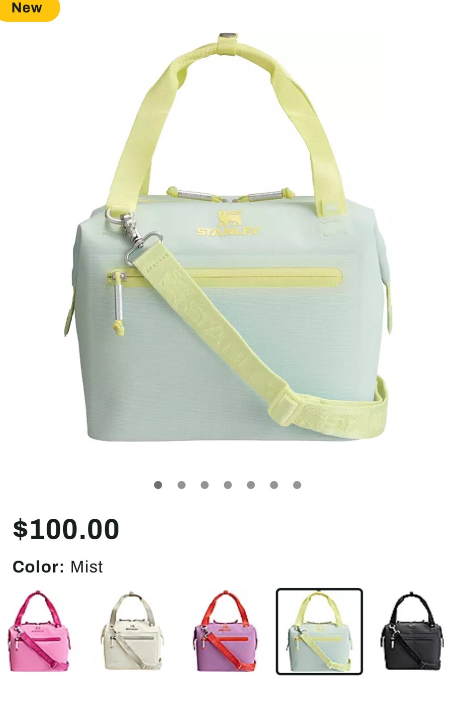 New Cutest little Stanley coolers from Dicks

#LTKitbag #LTKtravel #LTKfamily
