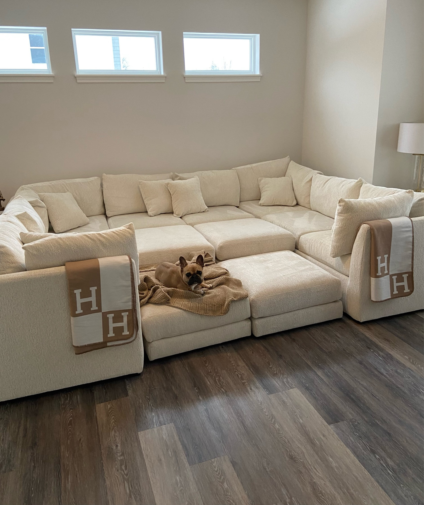 These Hermes dupe blankets are everything! You need them to elevate your living room. Frenchie not included 🐶

#LTKfindsunder50 #LTKhome #LTKstyletip